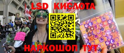 шишки Бузулук