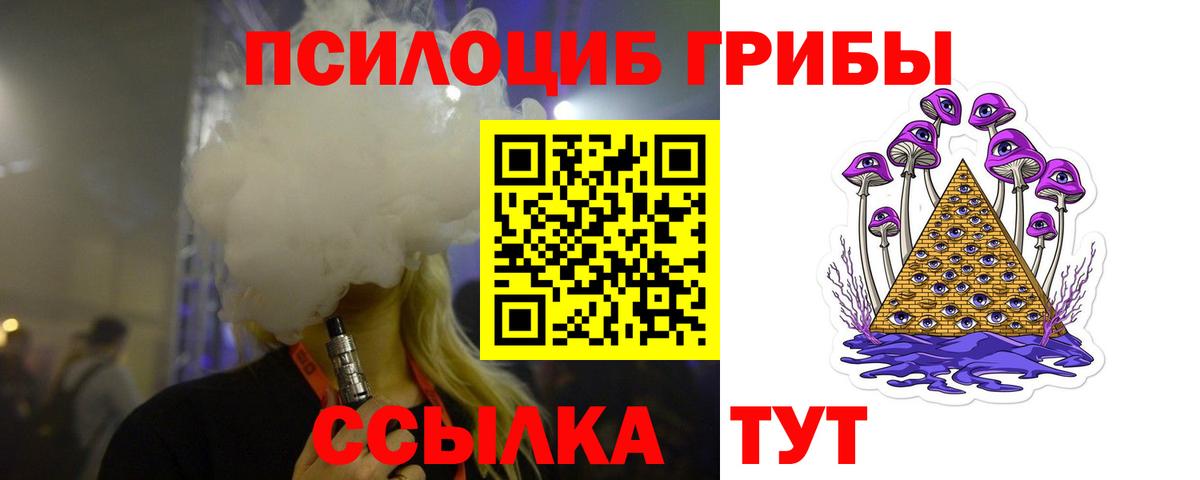 Псилоцибиновые грибы Psilocybe  Вход с VPN  Северобайкальск 